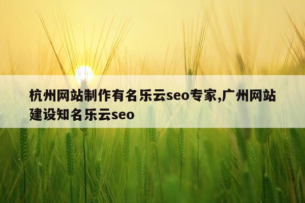 杭州网站制作有名乐云seo专家,广州网站建设知名乐云seo