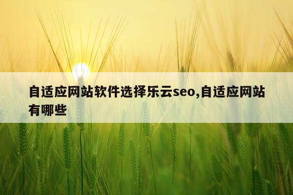 自适应网站软件选择乐云seo,自适应网站有哪些