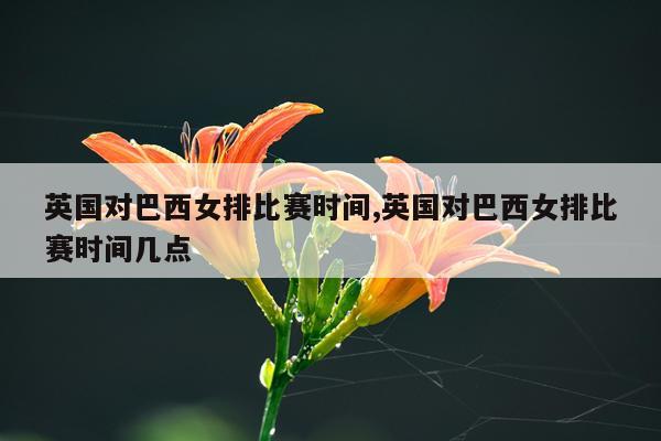 英国对巴西女排比赛时间,英国对巴西女排比赛时间几点
