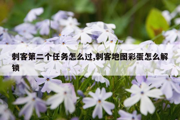 刺客第二个任务怎么过,刺客地图彩蛋怎么解锁