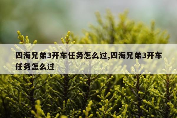 四海兄弟3开车任务怎么过,四海兄弟3开车任务怎么过
