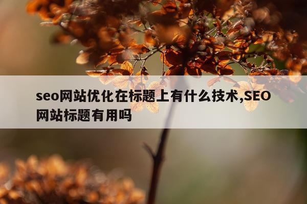 seo网站优化在标题上有什么技术,SEO网站标题有用吗