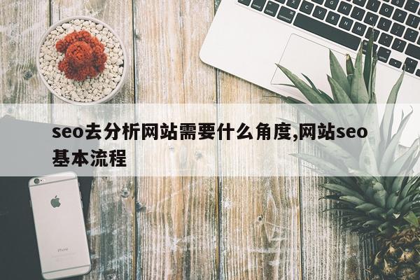 seo去分析网站需要什么角度,网站seo基本流程