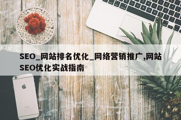 SEO_网站排名优化_网络营销推广,网站SEO优化实战指南