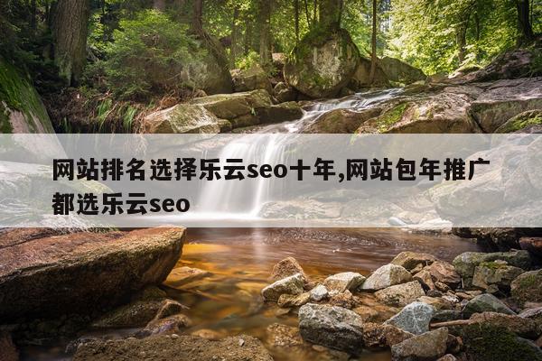 网站排名选择乐云seo十年,网站包年推广都选乐云seo