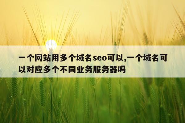 一个网站用多个域名seo可以,一个域名可以对应多个不同业务服务器吗