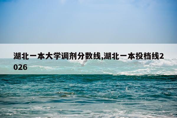湖北一本大学调剂分数线,湖北一本投档线2026