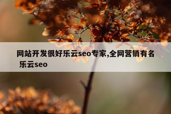 网站开发很好乐云seo专家,全网营销有名 乐云seo
