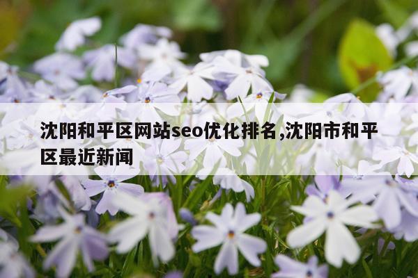 沈阳和平区网站seo优化排名,沈阳市和平区最近新闻