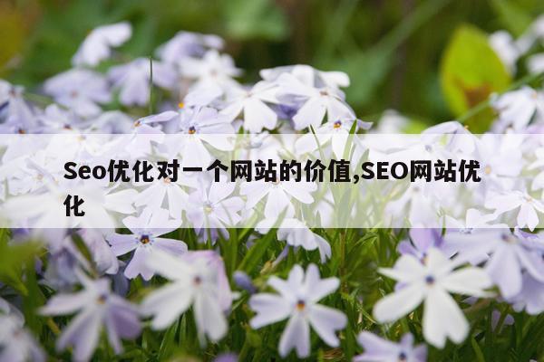 Seo优化对一个网站的价值,SEO网站优化