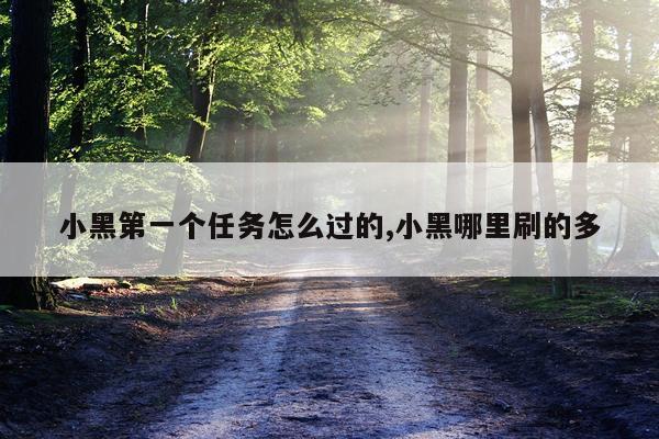 小黑第一个任务怎么过的,小黑哪里刷的多