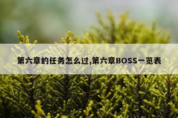 第六章的任务怎么过,第六章BOSS一览表