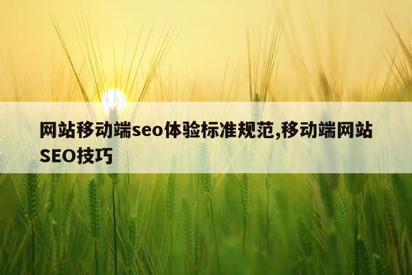 网站移动端seo体验标准规范,移动端网站SEO技巧
