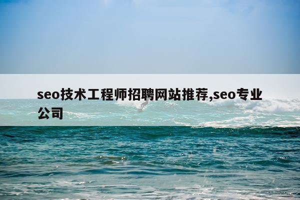 seo技术工程师招聘网站推荐,seo专业公司