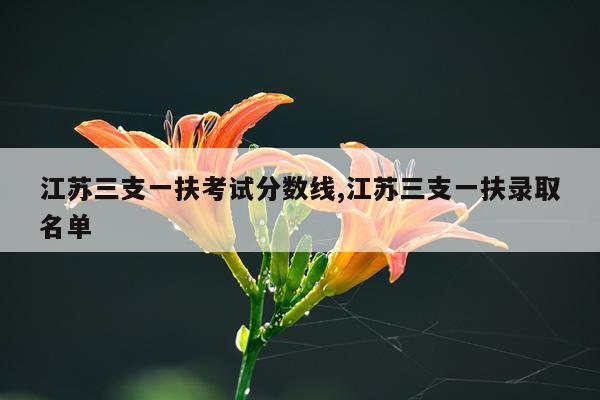 江苏三支一扶考试分数线,江苏三支一扶录取名单