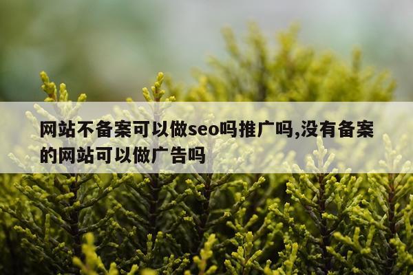 网站不备案可以做seo吗推广吗,没有备案的网站可以做广告吗