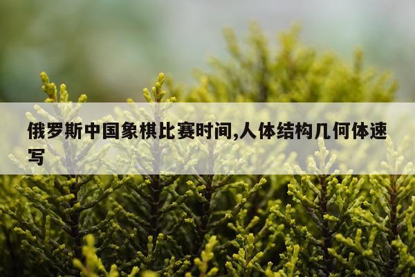 俄罗斯中国象棋比赛时间,人体结构几何体速写