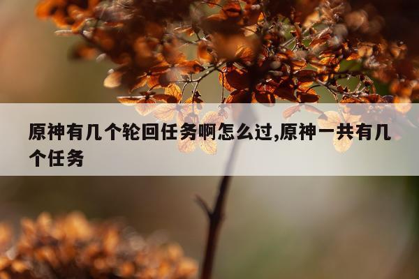 原神有几个轮回任务啊怎么过,原神一共有几个任务