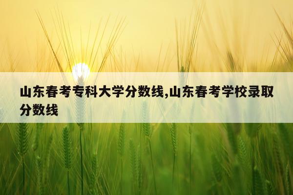 山东春考专科大学分数线,山东春考学校录取分数线