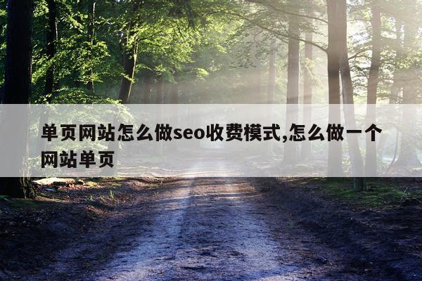 单页网站怎么做seo收费模式,怎么做一个网站单页