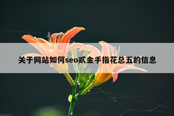 关于网站如何seo贰金手指花总五的信息