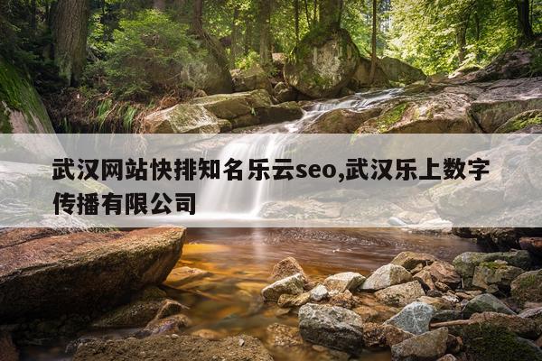 武汉网站快排知名乐云seo,武汉乐上数字传播有限公司