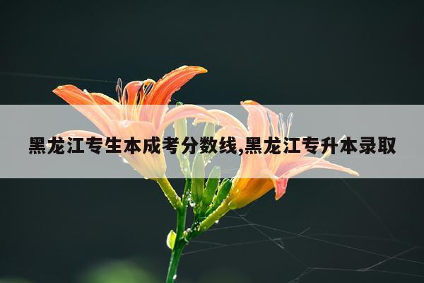黑龙江专生本成考分数线,黑龙江专升本录取