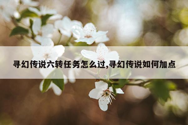 寻幻传说六转任务怎么过,寻幻传说如何加点