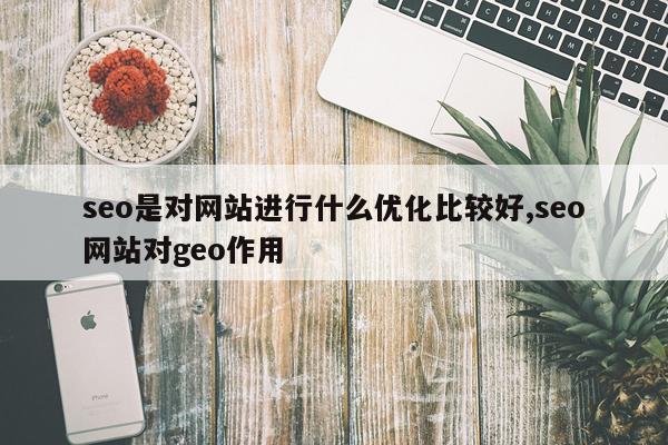 seo是对网站进行什么优化比较好,seo网站对geo作用