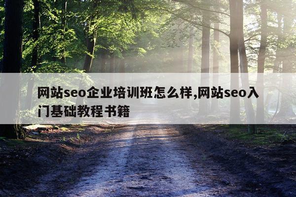 网站seo企业培训班怎么样,网站seo入门基础教程书籍