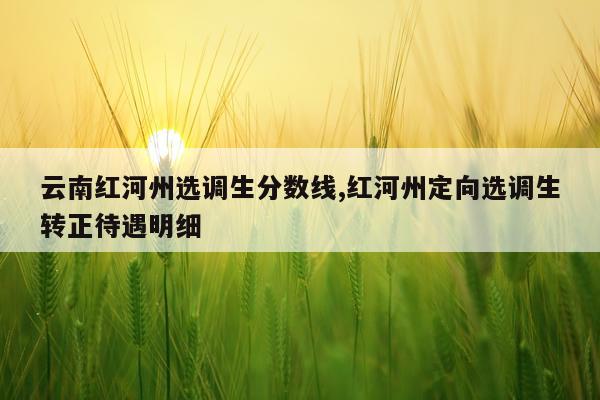 云南红河州选调生分数线,红河州定向选调生转正待遇明细