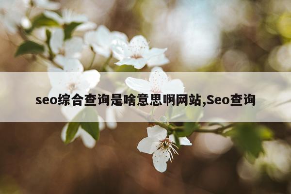 seo综合查询是啥意思啊网站,Seo查询