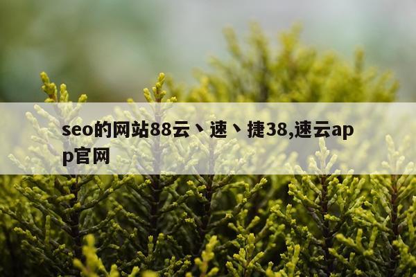 seo的网站88云丶速丶捷38,速云app官网