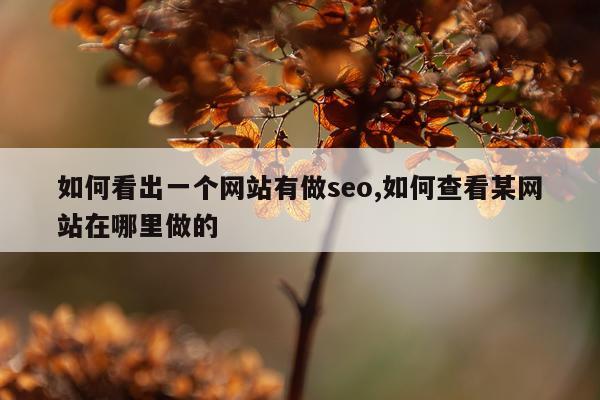 如何看出一个网站有做seo,如何查看某网站在哪里做的