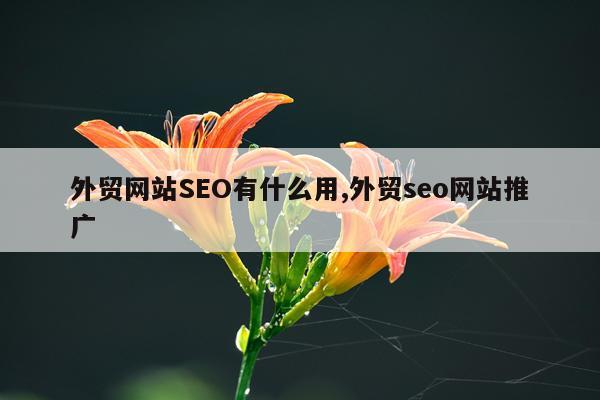 外贸网站SEO有什么用,外贸seo网站推广