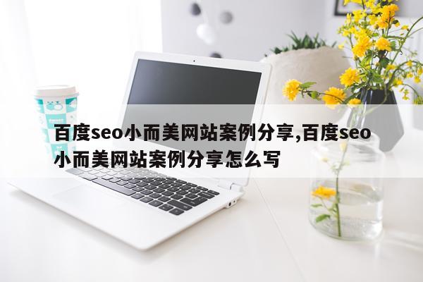 百度seo小而美网站案例分享,百度seo小而美网站案例分享怎么写