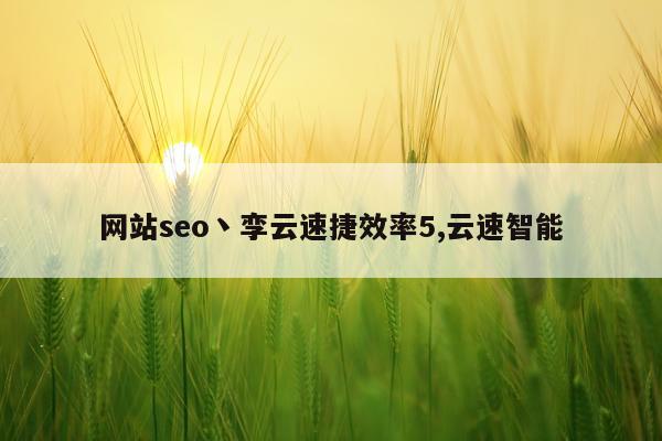 网站seo丶孪云速捷效率5,云速智能