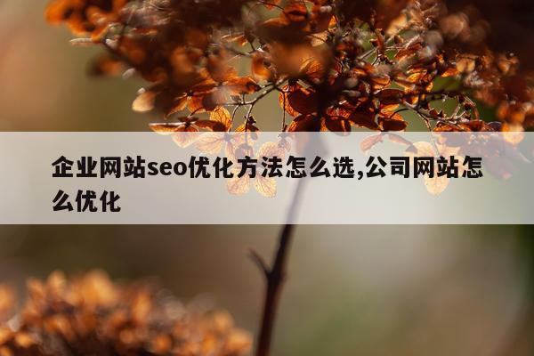 企业网站seo优化方法怎么选,公司网站怎么优化