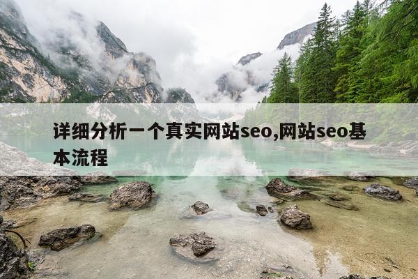 详细分析一个真实网站seo,网站seo基本流程