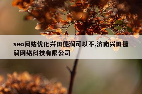seo网站优化兴田德润可以不,济南兴田德润网络科技有限公司