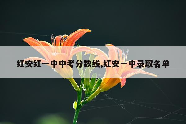 红安红一中中考分数线,红安一中录取名单