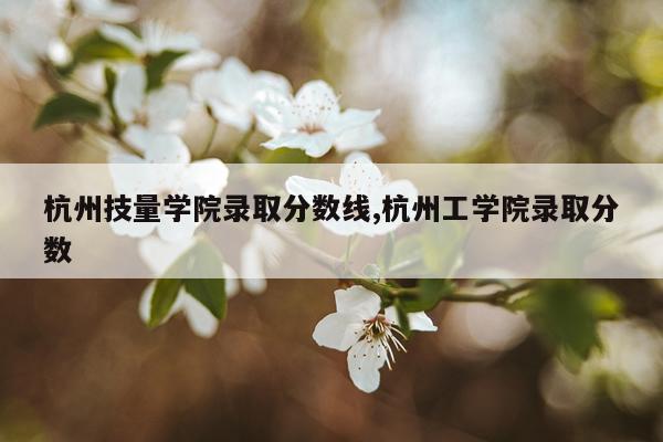 杭州技量学院录取分数线,杭州工学院录取分数