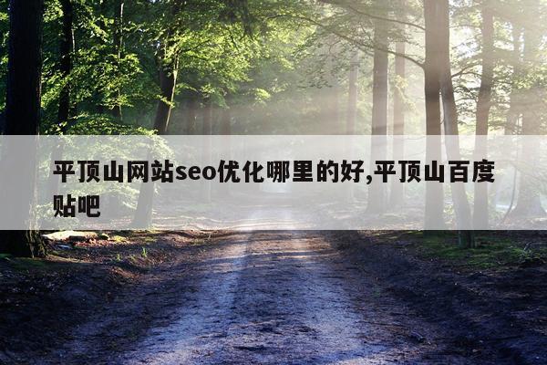 平顶山网站seo优化哪里的好,平顶山百度贴吧