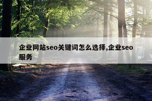 企业网站seo关键词怎么选择,企业seo服务