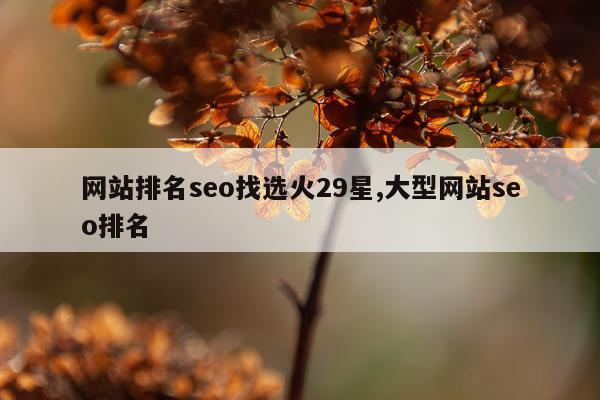 网站排名seo找选火29星,大型网站seo排名