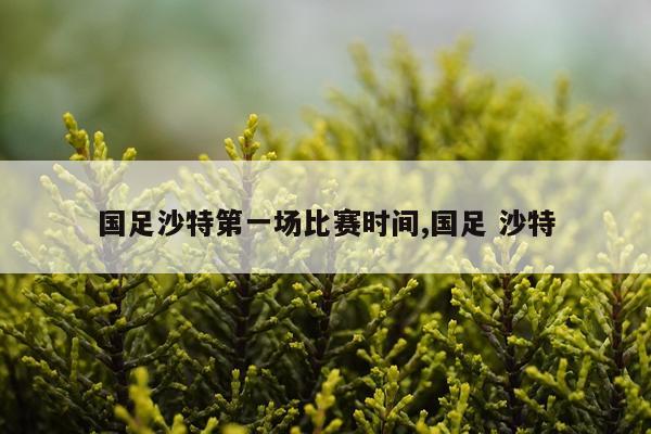 国足沙特第一场比赛时间,国足 沙特
