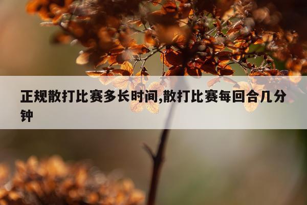 正规散打比赛多长时间,散打比赛每回合几分钟