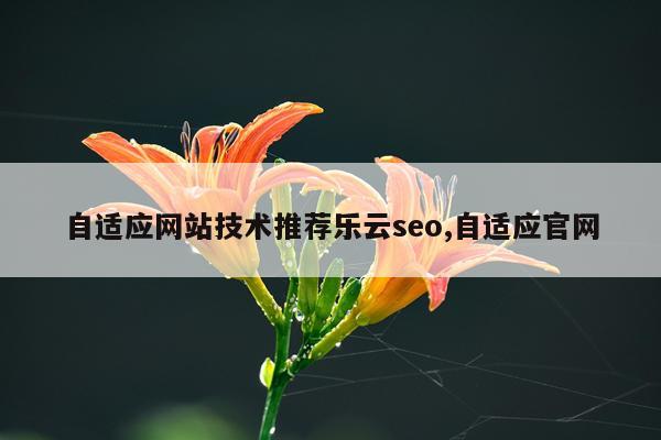自适应网站技术推荐乐云seo,自适应官网