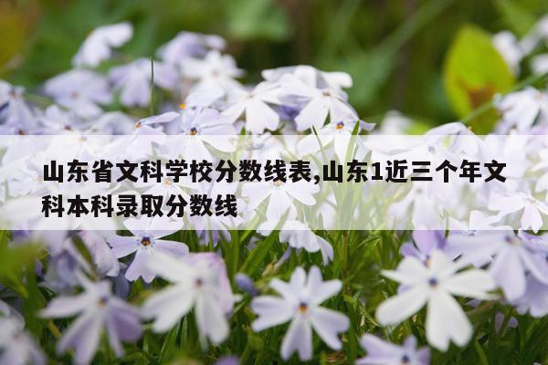 山东省文科学校分数线表,山东1近三个年文科本科录取分数线