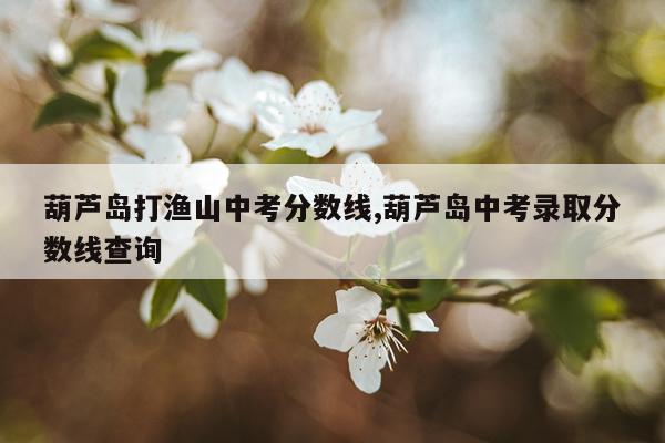 葫芦岛打渔山中考分数线,葫芦岛中考录取分数线查询